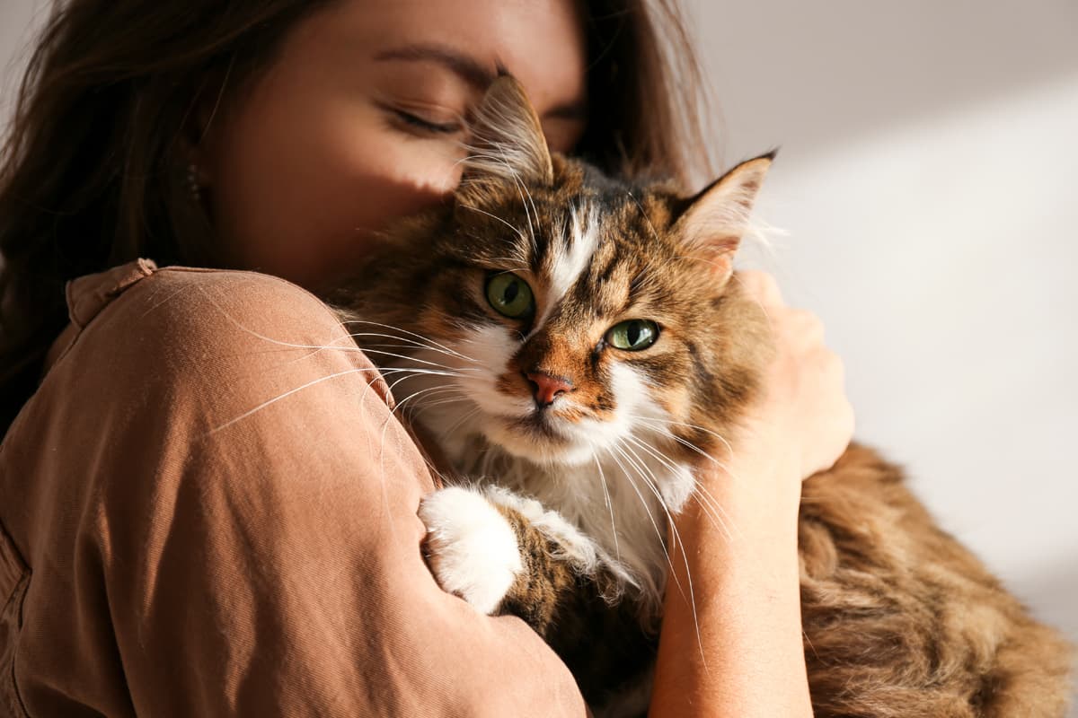 Proteja a sus mascotas con nuestro seguro para animales